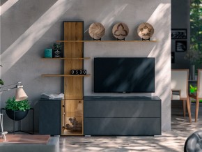Гостиная Дакота набор №1 в Катав-Ивановске - katav-ivanovsk.magazin-mebel74.ru | фото