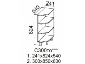 С300то Стол рабочий 300 (торцевой открытый) в Катав-Ивановске - katav-ivanovsk.magazin-mebel74.ru | фото