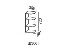 Ш300т/720 Шкаф навесной 300/720 (торцевой) в Катав-Ивановске - katav-ivanovsk.magazin-mebel74.ru | фото