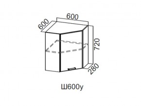 Ш600у/720 Шкаф навесной 600/720 (угловой) в Катав-Ивановске - katav-ivanovsk.magazin-mebel74.ru | фото