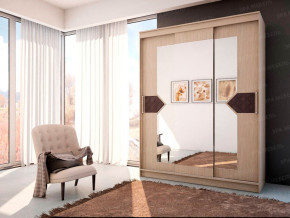 Шкаф-купе НИКОЛЬ 3 в Катав-Ивановске - katav-ivanovsk.magazin-mebel74.ru | фото