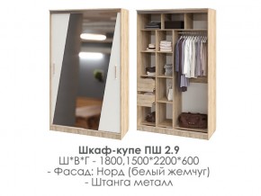 шкаф-купе ПШ-2.9 1500 Норд Белый жемчуг 1500 в Катав-Ивановске - katav-ivanovsk.magazin-mebel74.ru | фото