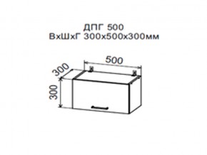 Шкаф верхний ДПГ500 горизонтальный в Катав-Ивановске - katav-ivanovsk.magazin-mebel74.ru | фото