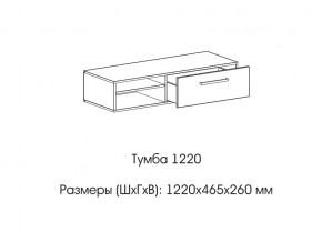 Тумба 1220 (низкая) в Катав-Ивановске - katav-ivanovsk.magazin-mebel74.ru | фото